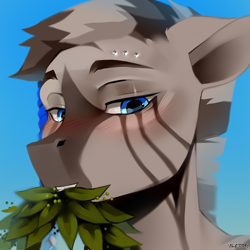 Size: 2500x2500 | Tagged: safe, alternate version, artist:zlatavector, oc, oc only, oc:abel scipione, zebra, anthro, blushing, commission, eyebrow piercing, gift art, looking at you, male, piercing, pigtails, solo, stallion, zebra oc