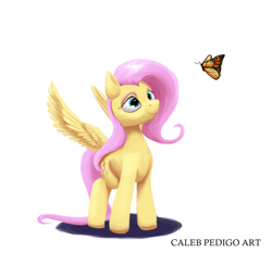 Size: 3821x3561 | Tagged: safe, artist:calebpedigo, fluttershy, butterfly, pegasus, pony, g4, female, high res, looking at something, mare, signature, simple background, solo, spread wings, white background, wings