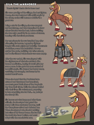 Size: 2400x3200 | Tagged: safe, artist:thescornfulreptilian, oc, oc:sila, horse, them's fightin' herds, armor, community related, female, solo, story included