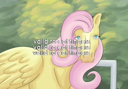 Size: 1600x1122 | Tagged: safe, artist:eldritchbliss, fluttershy, horse, g4, english, female, fingers, hoers, horses doing horse things, looking at you, mare, solo, text, valid to eat fingers