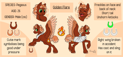 Size: 4096x1908 | Tagged: safe, artist:kleowolfy, oc, oc only, oc:golden flare, pegasus, pony, bandage, broken bone, broken wing, brown background, cast, colored hooves, colored wings, freckles, injured, large wings, leg fluff, multicolored wings, ponified, reference sheet, short tail, simple background, sling, smiling, solo, species swap, tail, unshorn fetlocks, wings