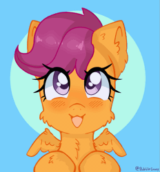 Size: 519x560 | Tagged: safe, artist:bubblegooey, part of a set, scootaloo, pegasus, pony, g4, :3, :d, adorable face, animated, blue background, blushing, bust, cheek fluff, chest fluff, cute, cutealoo, daaaaaaaaaaaw, ear fluff, eye shimmer, female, filly, fluffy, foal, gif, happy, hoof fluff, looking at you, looking up, looking up at you, neck fluff, open mouth, open smile, orange coat, purple eyes, purple mane, scootalove, short mane, signature, simple background, smiling, smiling at you, solo, sparkly eyes, wing fluff, wingding eyes, wings