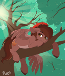 Size: 5600x6500 | Tagged: safe, artist:reins, oc, oc only, oc:autumn rosewood, pegasus, beret, content, crepuscular rays, hat, in a tree, male, maple leaf, pegasus oc, solo, tree, tree branch