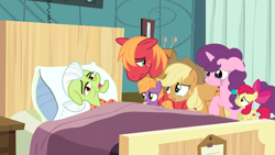 Size: 1280x720 | Tagged: safe, artist:darkmoonanimation, apple bloom, applejack, big macintosh, granny smith, sugar belle, earth pony, pony, unicorn, g4, bed, crying, dying, female, foal, hospital, hospital bed, hospital room, male, mare, pillow, stallion