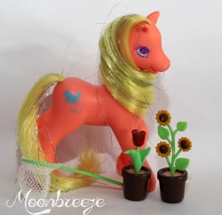 Size: 978x945 | Tagged: safe, photographer:moonbreeze, butterfly hunter, earth pony, pony, g2, accessory, butterfly net, female, flower, irl, mare, net, photo, potted plant, raised hoof, solo, sunflower, toy, tulip, watermark