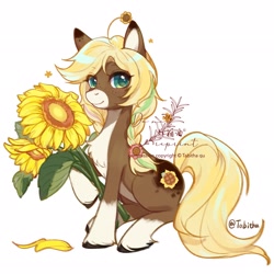 Size: 2048x2048 | Tagged: safe, artist:tabithaqu, oc, oc only, earth pony, pony, female, flower, mare, simple background, solo, sunflower, white background