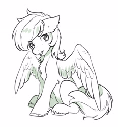 Size: 2726x2934 | Tagged: safe, artist:opalacorn, oc, oc only, pegasus, pony, eyebrows, eyebrows visible through hair, floppy ears, grayscale, male, monochrome, simple background, sitting, solo, stallion, unshorn fetlocks, white background