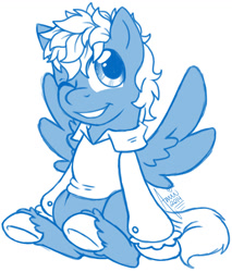 Size: 988x1157 | Tagged: safe, artist:amuzoreh, oc, oc only, pegasus, pony, clothes, grin, male, monochrome, one eye closed, simple background, sitting, smiling, solo, stallion, unshorn fetlocks, white background