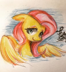 Size: 1837x2000 | Tagged: safe, artist:meowmeows, fluttershy, pegasus, pony, g4, colored pencil drawing, smiling, solo, traditional art