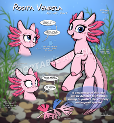 Size: 3035x3252 | Tagged: safe, artist:selenophile, oc, oc only, oc:rosita vendela, axolotl, hybrid, adoptable, advertisement, auction, axolotl pony, bubble, charity, crepuscular rays, cute, dialogue, fish tail, floppy ears, gills, looking at you, not pinkie pie, not species swap, ocean, open mouth, open smile, reference sheet, scales, seaweed, smiling, smiling at you, sunlight, swimming, tail, text, underwater, water