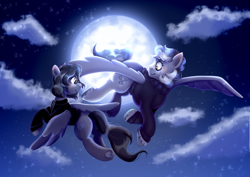 Size: 3035x2150 | Tagged: safe, artist:pozya1007, oc, pegasus, pony, cloud, couple, flying, moon, night, sky, solo, stars