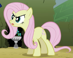 Size: 669x532 | Tagged: safe, screencap, fluttershy, earth pony, pony, g4, season 2, the return of harmony, annoyed, cropped, discorded, earth pony fluttershy, female, flutterbitch, fluttercruel, frown, glare, looking at someone, mare, missing wing, offscreen character, open mouth, race swap, solo, standing, wide eyes