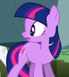 Size: 370x417 | Tagged: safe, screencap, rarity, tom, twilight sparkle, earth pony, pony, unicorn, g4, season 2, the return of harmony, cropped, earth pony twilight, female, frown, looking at someone, mare, missing horn, offscreen character, open mouth, race swap, shocked