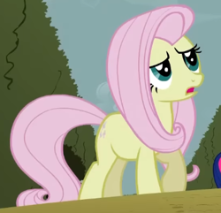 Size: 379x365 | Tagged: safe, screencap, fluttershy, earth pony, pony, g4, season 2, the return of harmony, cropped, discorded, earth pony fluttershy, female, flutterbitch, fluttercruel, looking up, mare, missing wing, offscreen character, race swap, solo focus, worried