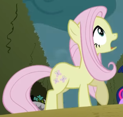 Size: 408x387 | Tagged: safe, screencap, fluttershy, earth pony, pony, g4, season 2, the return of harmony, cropped, discorded, earth pony fluttershy, female, flutterbitch, fluttercruel, looking up, mare, missing wing, offscreen character, open mouth, race swap, shocked, shrunken pupils, solo focus
