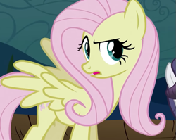 Size: 809x644 | Tagged: safe, screencap, fluttershy, pegasus, pony, g4, season 2, the return of harmony, confused, cropped, discorded, eyebrows, female, flutterbitch, fluttercruel, looking at someone, mare, offscreen character, raised eyebrow, solo, spread wings, wings