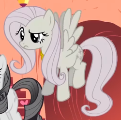 Size: 351x348 | Tagged: safe, screencap, fluttershy, rarity, pegasus, pony, g4, season 2, the return of harmony, confused, cropped, discorded, element of kindness, female, flutterbitch, fluttercruel, flying, golden oaks library, mare, offscreen character, solo focus