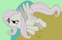 Size: 390x252 | Tagged: safe, screencap, fluttershy, pegasus, pony, g4, season 2, the return of harmony, cropped, discorded, eyebrows, female, flutterbitch, fluttercruel, flying, looking at someone, mare, offscreen character, raised eyebrow, solo