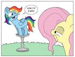 Size: 1914x1460 | Tagged: safe, artist:doodledonutart, fluttershy, rainbow dash, pegasus, pony, g4, behaving like a bird, bird bath, blank flank, dialogue, duo, duo female, female, fluttershy is not amused, folded wings, frown, looking at each other, looking at someone, mare, missing cutie mark, narrowed eyes, rainbird dash, silly, silly pony, simple background, speech bubble, unamused, white background, wings
