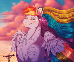 Size: 2980x2507 | Tagged: safe, artist:silverwolf866, rainbow dash, pegasus, pony, g4, chest fluff, crying, ear fluff, eyes closed, female, grin, high res, mare, rainbow eyelashes, smiling, solo, sunset, tears of joy, windswept mane