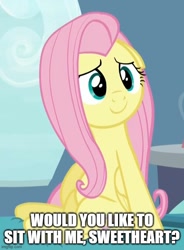Size: 500x680 | Tagged: safe, edit, edited screencap, screencap, fluttershy, g4, tanks for the memories, bronybait, caption, cute, image macro, imgflip, shyabetes, sitting, talking to viewer, text