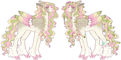 Size: 5066x2525 | Tagged: safe, artist:sleepy-nova, oc, oc only, oc:water lily, pegasus, pony, colored wings, female, magical lesbian spawn, mare, multicolored wings, offspring, parent:fluttershy, parent:marble pie, parents:marbleshy, simple background, solo, transparent background, wings