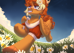 Size: 3500x2500 | Tagged: safe, artist:medkit, oc, oc only, oc:bailey frazer, pegasus, pony, accessory, blaze (coat marking), blue eyes, blue sky, chamomile, chamomile field, chest fluff, clothes, cloud, coat markings, colored ear fluff, colored eyebrows, colored eyelashes, colored hooves, colored pupils, complex background, ear cleavage, ear fluff, ears up, eye clipping through hair, eyebrows, eyebrows visible through hair, eyelashes, eyes open, facial markings, feathered wings, female, field, flower, flower field, flower in hair, folded wings, full body, grass, gritted teeth, hairstyle, happy, heart, high res, hoof fluff, horizon, horseshoes, leg fluff, lightly watermarked, long tail, mare, multicolored coat, orange and yellow mane, orange coat, orange mane, orange tail, paint tool sai 2, pegasus oc, perspective, raised hoof, raised leg, running, short mane, signature, smiling, solo, starry sky, stars, sternocleidomastoid, tail, teeth, two toned mane, wall of tags, watermark, wing fluff, wings