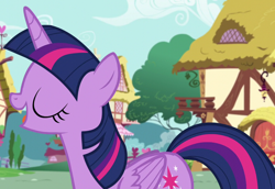 Size: 1048x720 | Tagged: safe, screencap, twilight sparkle, alicorn, pony, castle sweet castle, g4, eyes closed, ponyville, solo, twilight sparkle (alicorn)