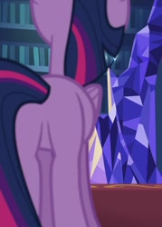 Size: 773x1080 | Tagged: safe, screencap, twilight sparkle, alicorn, pony, every little thing she does, g4, butt, cropped, female, library, mare, plot, solo, twibutt, twilight sparkle (alicorn), twilight's castle, twilight's castle library