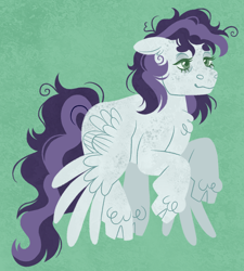 Size: 2136x2373 | Tagged: safe, artist:fizzmitz, oc, oc only, pegasus, pony, pegasus oc, solo