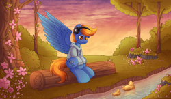 Size: 5000x2899 | Tagged: safe, artist:madelinne, oc, oc only, bird, duck, pegasus, pony, clothes, cloud, flower, headphones, hoodie, pegasus oc, river, sitting, sky, solo, sunset, tree, water, wings