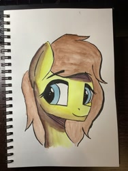 Size: 1536x2048 | Tagged: safe, artist:pegasusyay, oc, earth pony, pony, solo, traditional art, watercolor painting