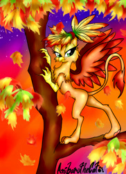 Size: 1700x2338 | Tagged: safe, artist:anibaruthecat, oc, oc only, griffon, autumn, female, griffon oc, in a tree, old art, slender, solo, thin, tree, tree branch