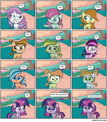 Size: 2160x2460 | Tagged: safe, edit, editor:luckydog416, caramel latte, desert weave, fluttershy, lilith, minty (g4), orange zest, potion nova, quick lime, twilight sparkle, alicorn, g4, g4.5, my little pony: pony life, butterscotch, comic, episode needed, rainbow hip, saguaro, twilight sparkle (alicorn)