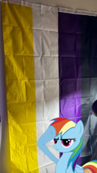 Size: 1170x2087 | Tagged: safe, rainbow dash, pegasus, pony, g4, female, flag, irl, mare, nonbinary, nonbinary pride flag, photo, photography, pride, pride flag, salute, solo