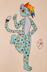 Size: 1056x1630 | Tagged: safe, artist:camerontehtranz, rainbow dash, cheetah, anthro, plantigrade anthro, g4, ear piercing, earring, grin, jewelry, looking at you, one eye closed, piercing, signature, smiling, species swap, tail, thumbs up, traditional art, wink, winking at you