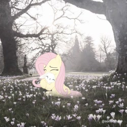 Size: 736x733 | Tagged: artist needed, safe, angel bunny, fluttershy, pony, g4, eyes closed, female, flower, hug, irl, mare, photo, ponies in real life