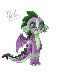 Size: 2400x3000 | Tagged: safe, artist:redlaserartist, spike, dragon, g4, blushing, claws, knee blush, male, signature, simple background, slit pupils, smiling, solo, spread wings, tail, white background, winged spike, wings