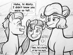 Size: 1024x771 | Tagged: safe, artist:pablosjuarez, hitch trailblazer, minty (g5), sunny starscout, earth pony, pony, g5, blushing, comic, cross-popping veins, dialogue, emanata, female, grayscale, headband, height difference, looking at each other, looking at someone, male, mare, monochrome, nervous, nervous smile, smiling, smiling at each other, speech bubble, stallion, sweat, sweatdrop, thought bubble, traditional art, translation, trio, wavy mouth