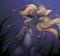 Size: 2500x2352 | Tagged: safe, artist:shinoshai, derpy hooves, pegasus, pony, g4, female, mare, night, shooting star, sketch, sky, solo, stars