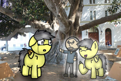 Size: 750x500 | Tagged: safe, artist:foxfer64_yt, oc, oc only, oc:abuelo pepe, oc:thunder (fl), human, pegasus, pony, child, crying, grandfather, grandfather and grandchild, male, memories, sad, spirit, stallion, tree, vent art