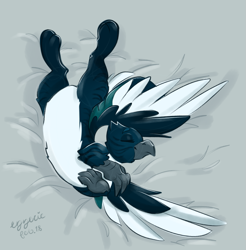 Size: 1165x1184 | Tagged: safe, artist:ezzerie, oc, oc only, oc:maggie, griffon, bed, belly, sleeping, solo, spread wings, wings