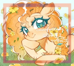Size: 992x890 | Tagged: safe, artist:hedgehog29271, pear butter, earth pony, pony, g4, buttercup, chest fluff, female, flower, flower in hair, frame, grass, hoof on chin, looking at you, lying down, mare, prone, smiling, smiling at you, solo