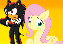 Size: 1110x784 | Tagged: safe, artist:cmara, fluttershy, pegasus, g4, crossover, female, gradient background, male, shadow the hedgehog, sonic the hedgehog (series)