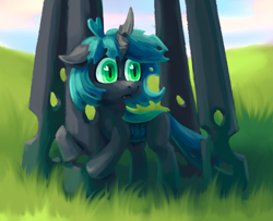 Size: 2463x2000 | Tagged: safe, artist:impamy, queen chrysalis, oc, oc:changeling filly anon, oc:filly anon, changeling, changeling queen, nymph, changeling oc, changeling queen oc, changelingified, cute, digital art, duo, duo female, fangs, female, filly, foal, grass, grass field, green eyes, heart, heart eyes, horn, mother and child, mother and daughter, outdoors, species swap, wingding eyes