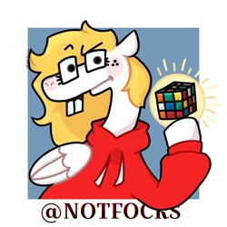 Size: 1440x1440 | Tagged: safe, artist:falloutfurret, oc, oc only, oc:fox, pegasus, pony, clothes, hoodie, nerd, rubik's cube, simple background, text