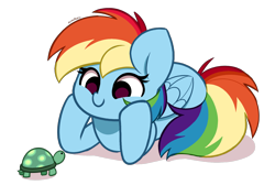 Size: 2180x1462 | Tagged: safe, artist:kittyrosie, rainbow dash, tank, pegasus, pony, tortoise, g4, baby tank, baby tortoise, cute, daaaaaaaaaaaw, dashabetes, duo, duo male and female, female, hnnng, kittyrosie is trying to murder us, male, mare, simple background, smiling, tankabetes, transparent background, weapons-grade cute