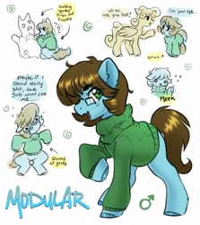 Size: 3650x4096 | Tagged: safe, artist:opalacorn, oc, oc only, oc:modular, earth pony, pegasus, pony, clothes, commission, dialogue, female, glasses, mare, open mouth, open smile, short, simple background, smiling, solo focus, sweater, text, white background