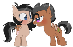 Size: 895x578 | Tagged: safe, artist:sinamuna, oc, oc only, oc:finch, oc:wren, pegasus, pony, au:equuis, ahoge, alternate universe, black hair, blue eyes, blushing, brother and sister, colt, duo, ear tufts, eye contact, female, filly, foal, freckles, grey hair, hoof fluff, looking at each other, looking at someone, male, pink eyes, siblings, simple background, smiling, spiky mane, transparent background, twins, wings