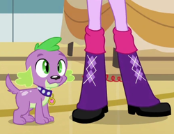 Size: 434x334 | Tagged: safe, edit, edited screencap, screencap, spike, twilight sparkle, dog, human, equestria girls, g4, boots, boots shot, cropped, high heel boots, legs, pictures of legs, shoes, smiling